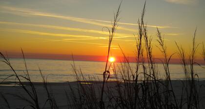 Newly Renovated with Great Location on the Gulfside.