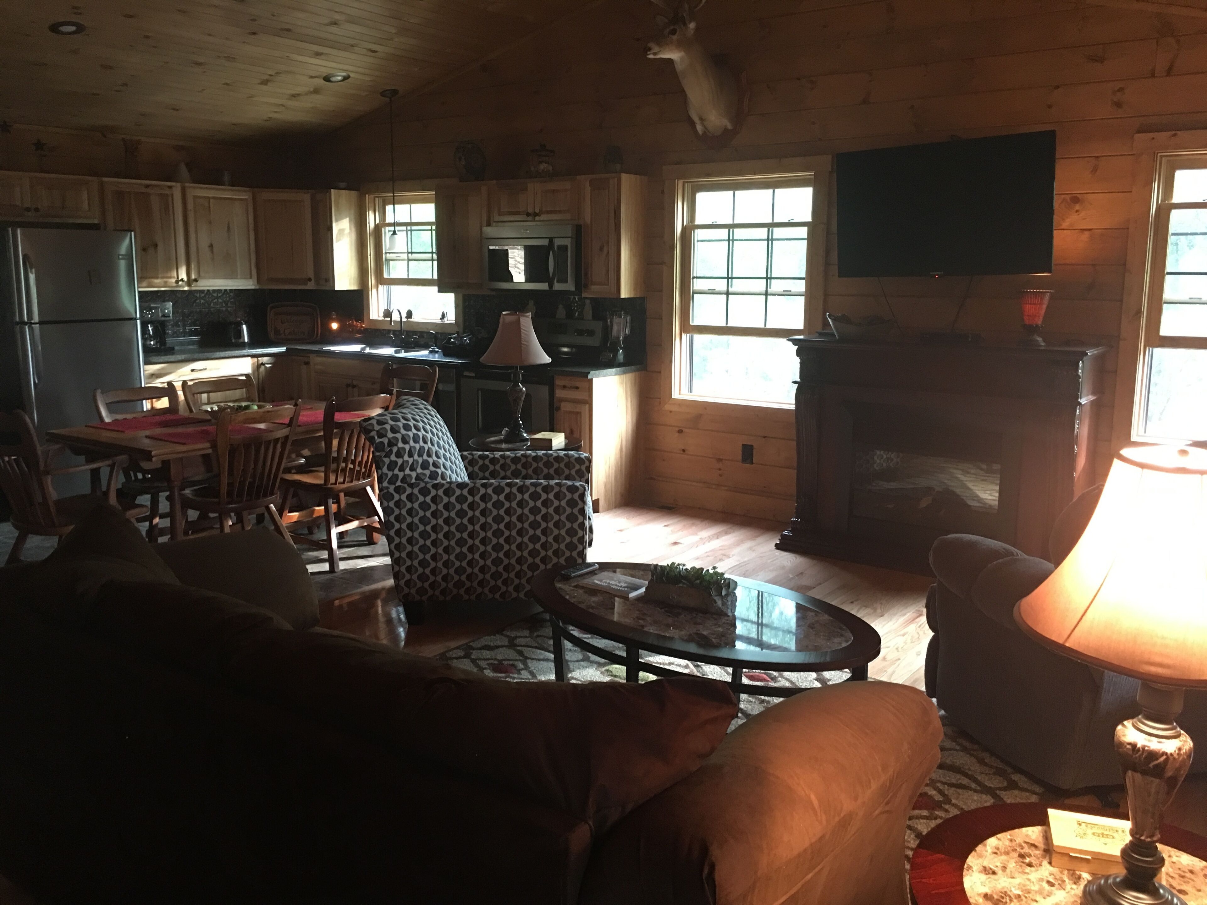 Smart TV, fireplace, DVD player, books