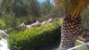 A view of a lush garden with a palm tree, dense foliage, and a clear blue sky.