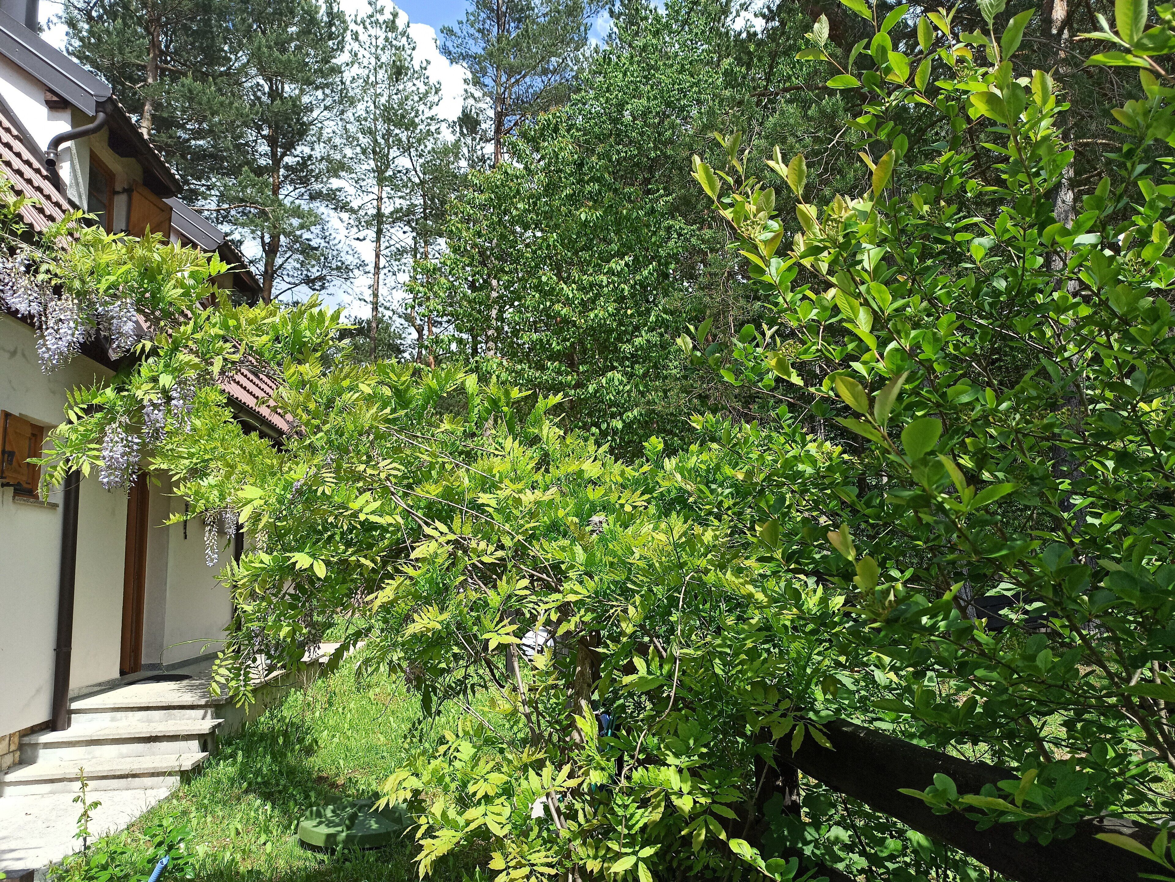 A traditional building with a sloped roof, surrounded by lush greenery and trees.