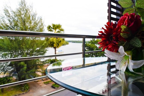 Vista desde la propiedad