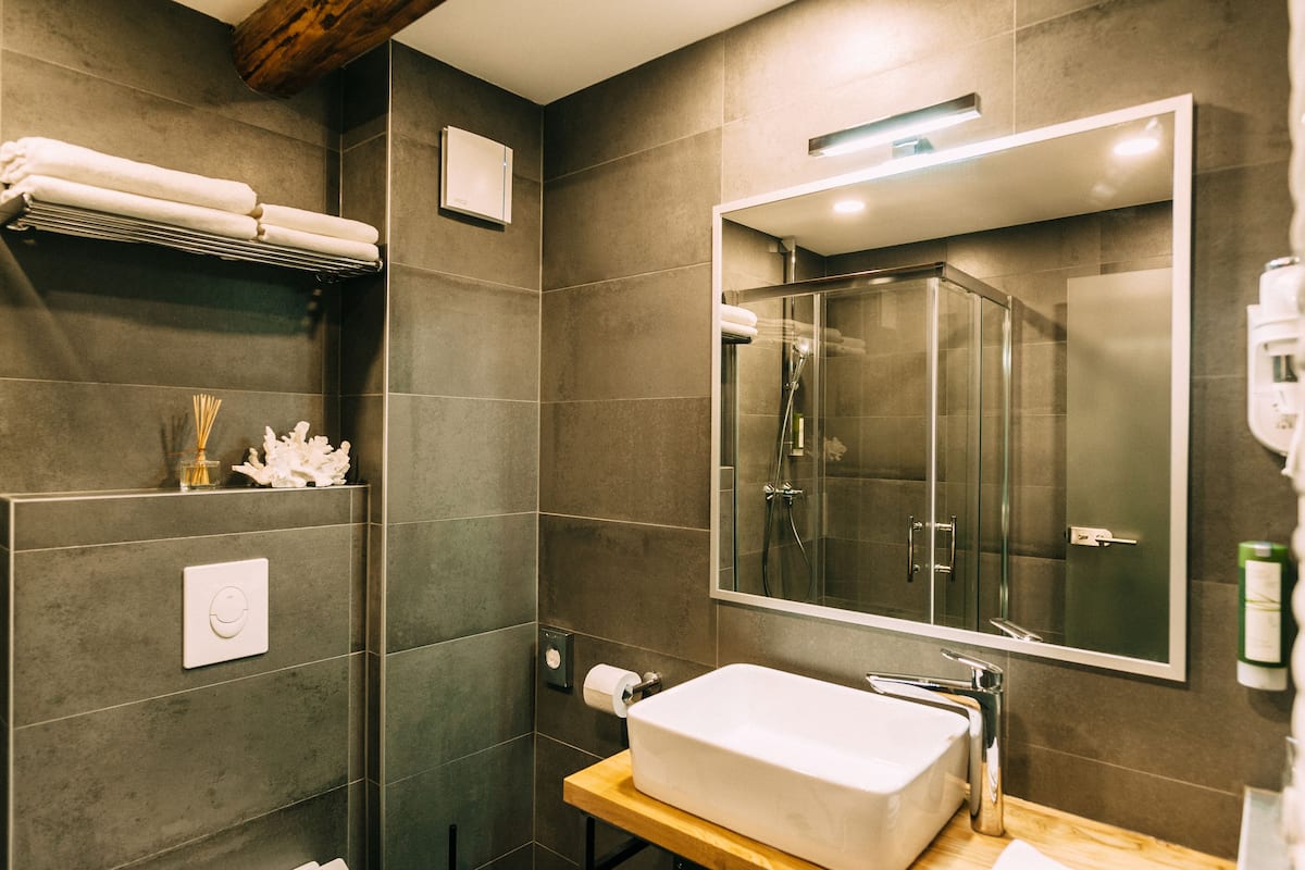 shower, free toiletries, hair dryer, towels