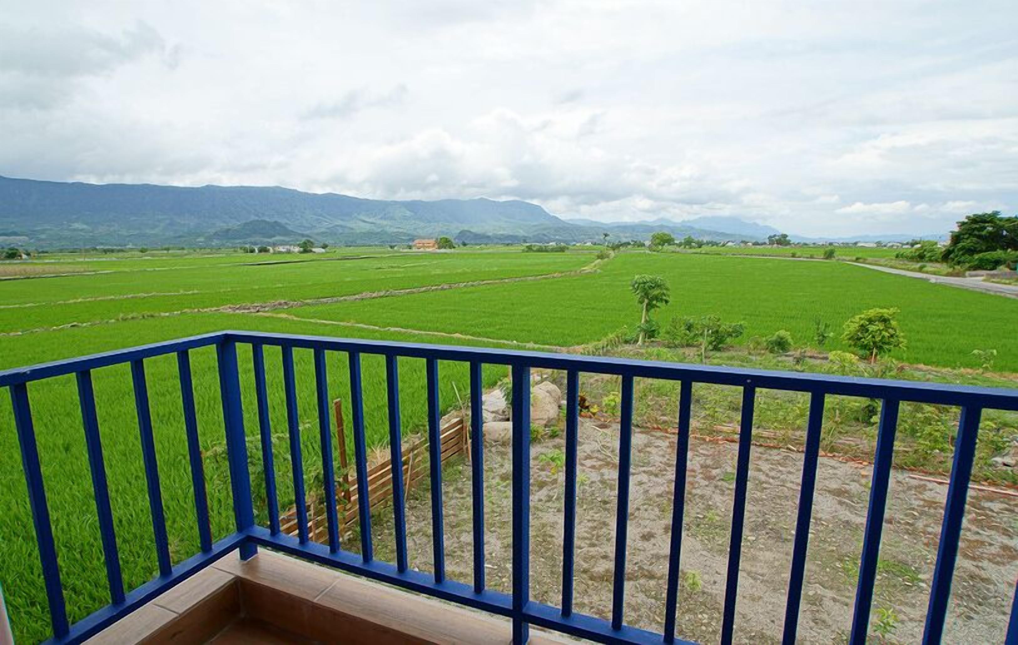 Suíte luxo, 1 quarto | Terraço/pátio