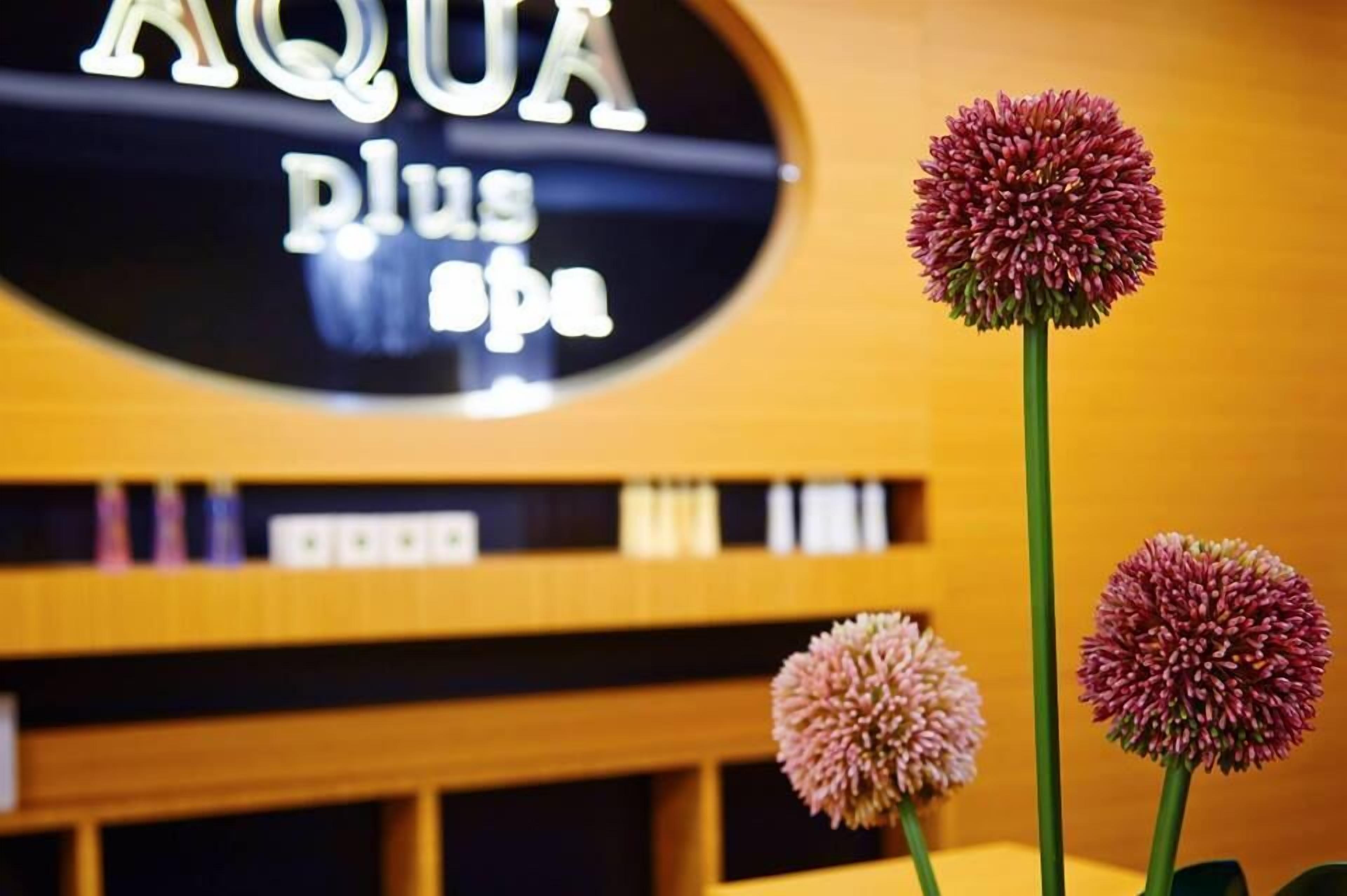 A sign for 'AQUA Blue Spa' with three spherical flowers in front.