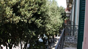 A balcony with a metal railing overlooking a street with parked cars and trees. - Pepita Lodge (Verona)