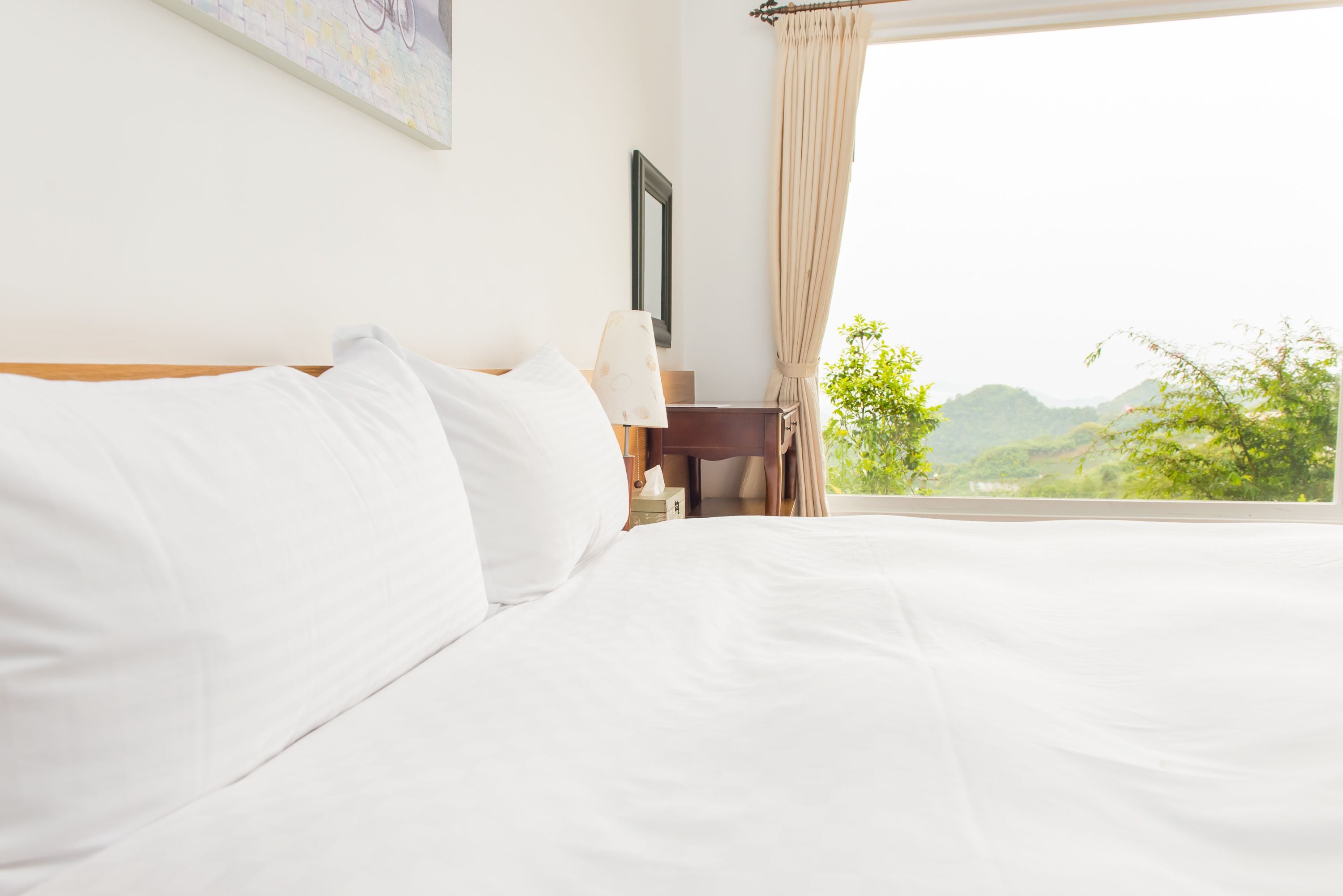 A hotel room with a large bed, a nightstand, a lamp, and a view of greenery outside.