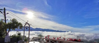 Alishan Tea Garden