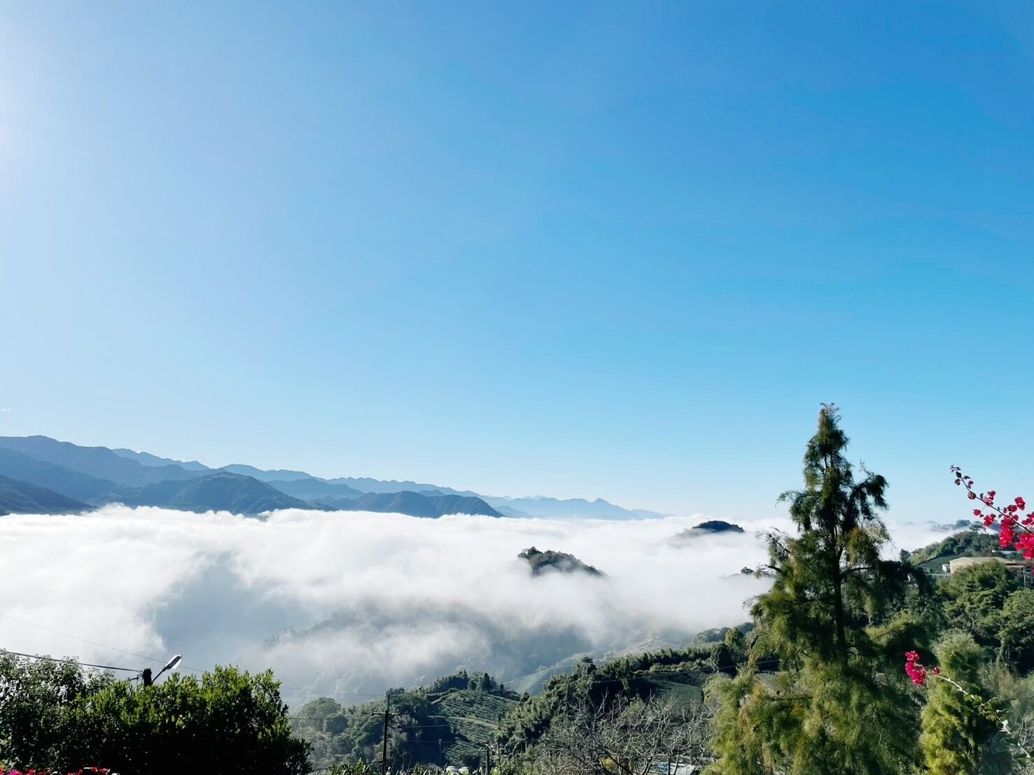 A mountainous landscape with a clear sky, a forested area, and a view of distant mountains.