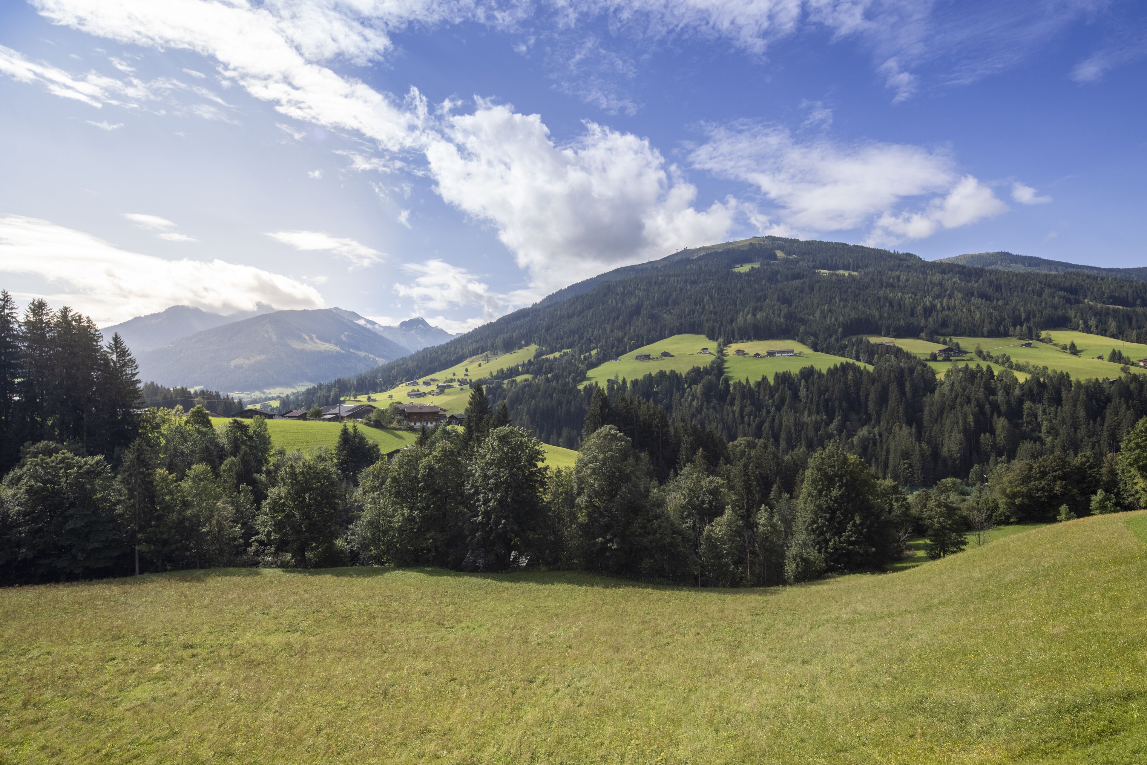 A panoramic view of a mountainous landscape with green fields, trees, and a clear sky.