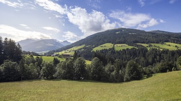 A panoramic view of a mountainous landscape with green fields, trees, and a clear sky.