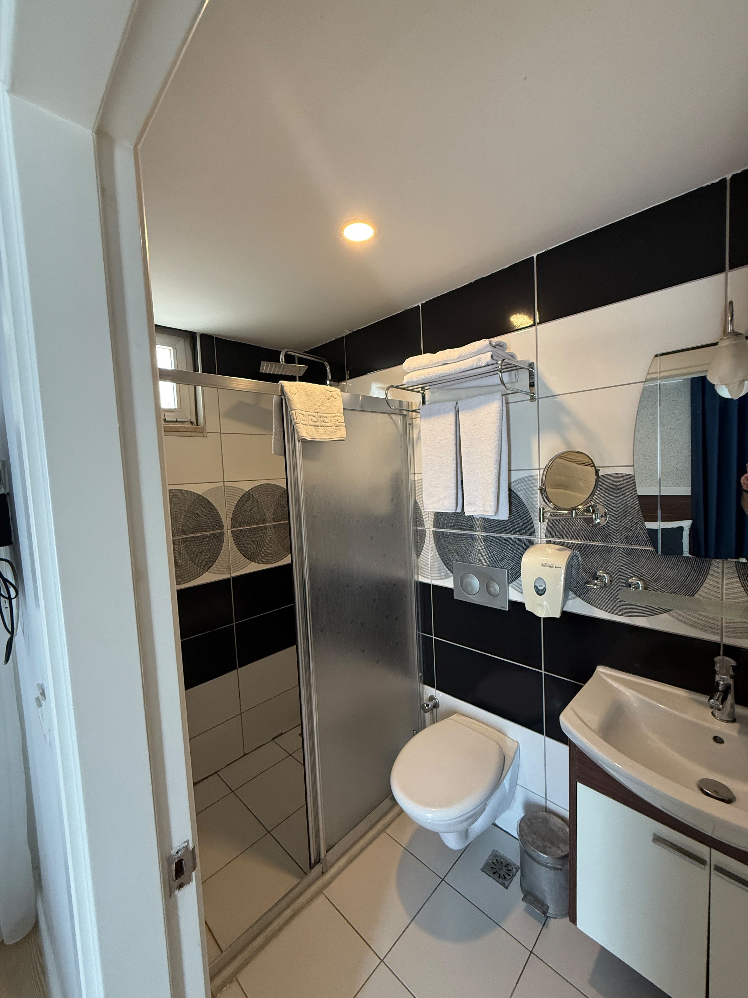 A modern bathroom with a glass-enclosed shower, a toilet, a sink, and a mirror with a towel rack.