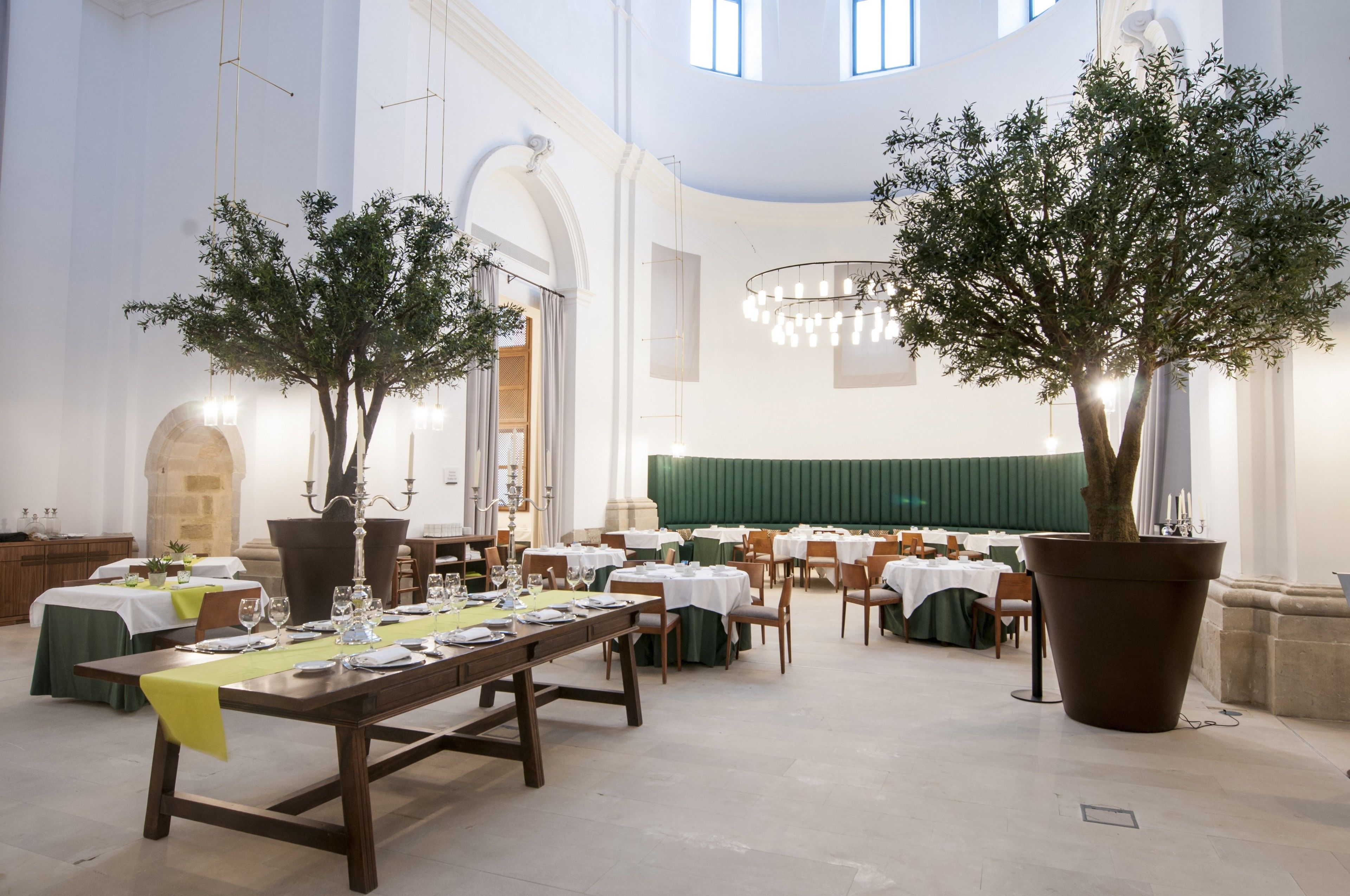 A spacious dining hall with high ceilings, large windows, and two large potted trees. Tables are set with white tablecloths and green napkins.
