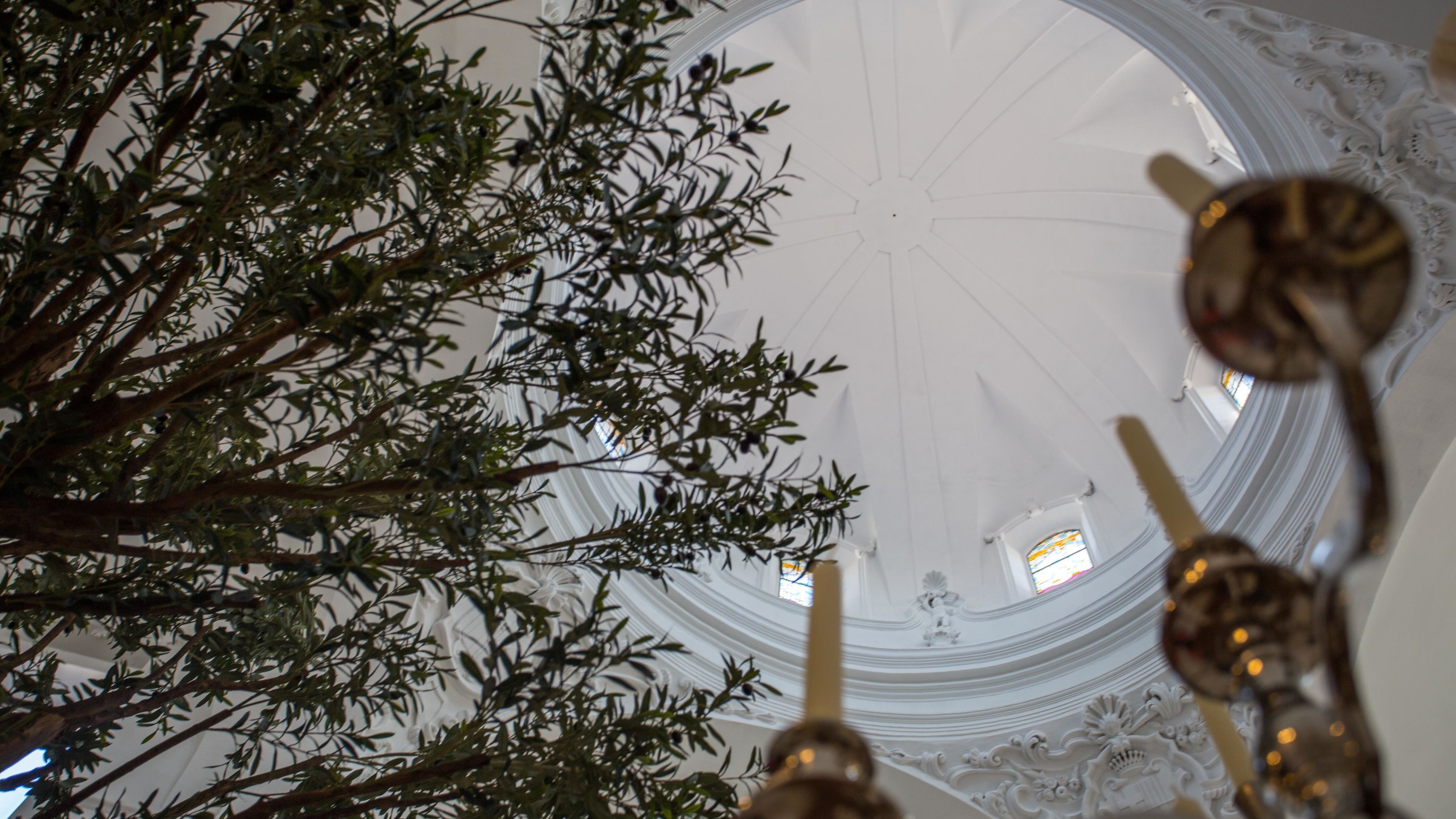 A view of a church interior with a high ceiling, ornate ceiling details, and a large tree in the foreground.