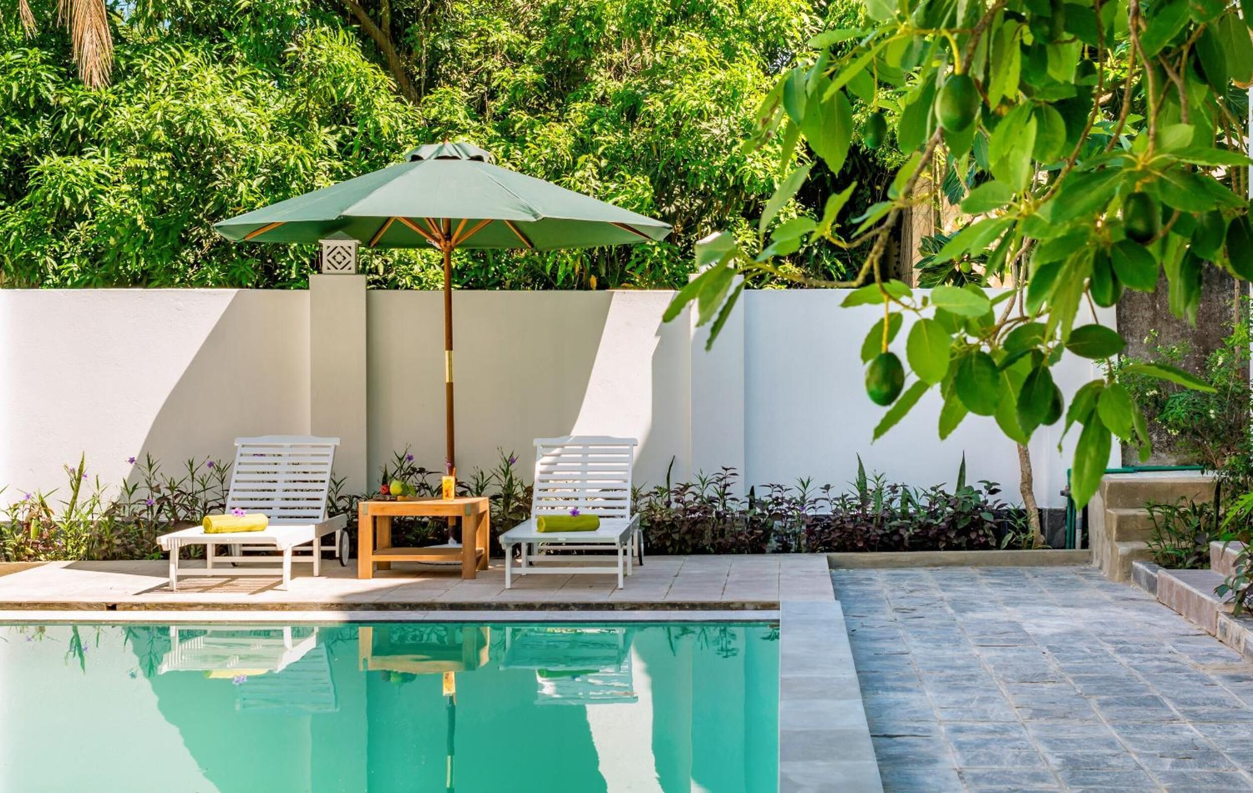 Foto - Fig Tree Boutique Villa