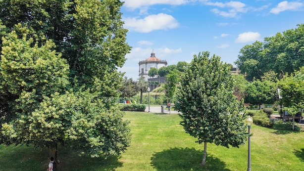 A park with a large tree, a lamp post, and a distant building with a dome. - Apartments Luiz I Bridge (Vila Nova de Gaia)