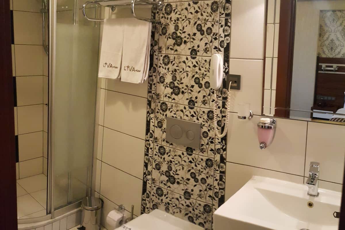 shower, free toiletries, hair dryer, slippers