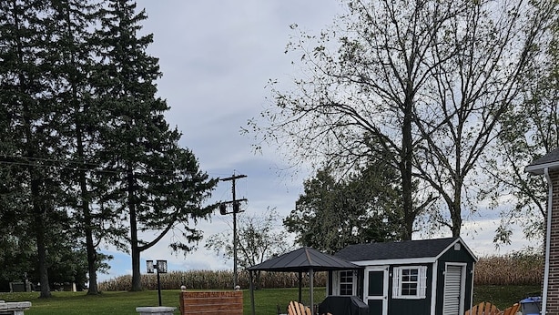 Un espacio al aire libre con mesas y sillas de madera, un cobertizo pequeño y una mesa de picnic.