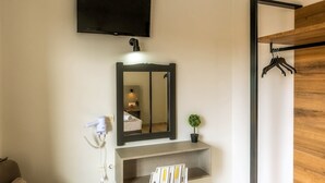 Un baño moderno con televisor montado, un espejo grande, un secador de pelo, un estante con planta en maceta y una puerta de madera.