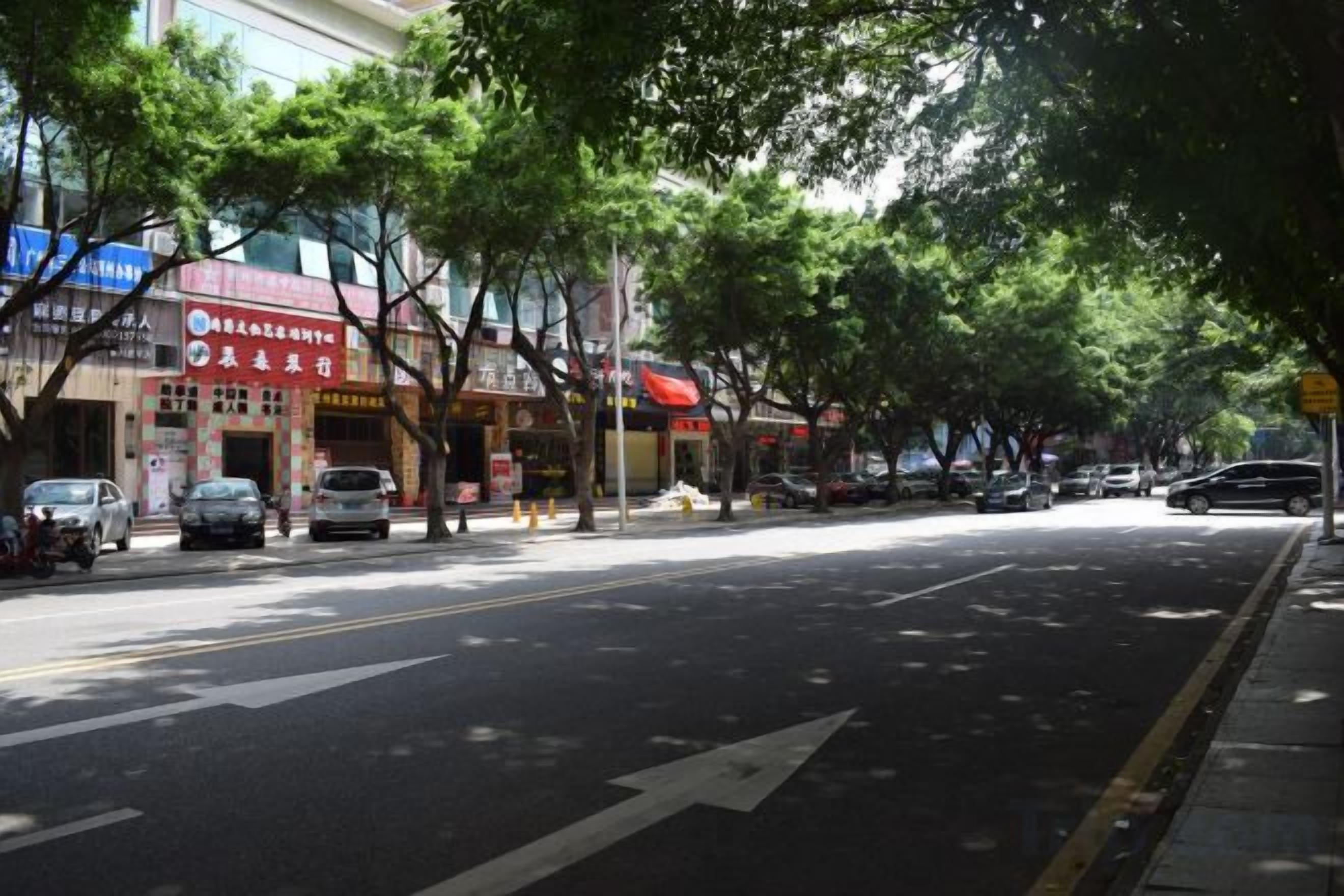 A street lined with trees and parked cars, with buildings on the left.