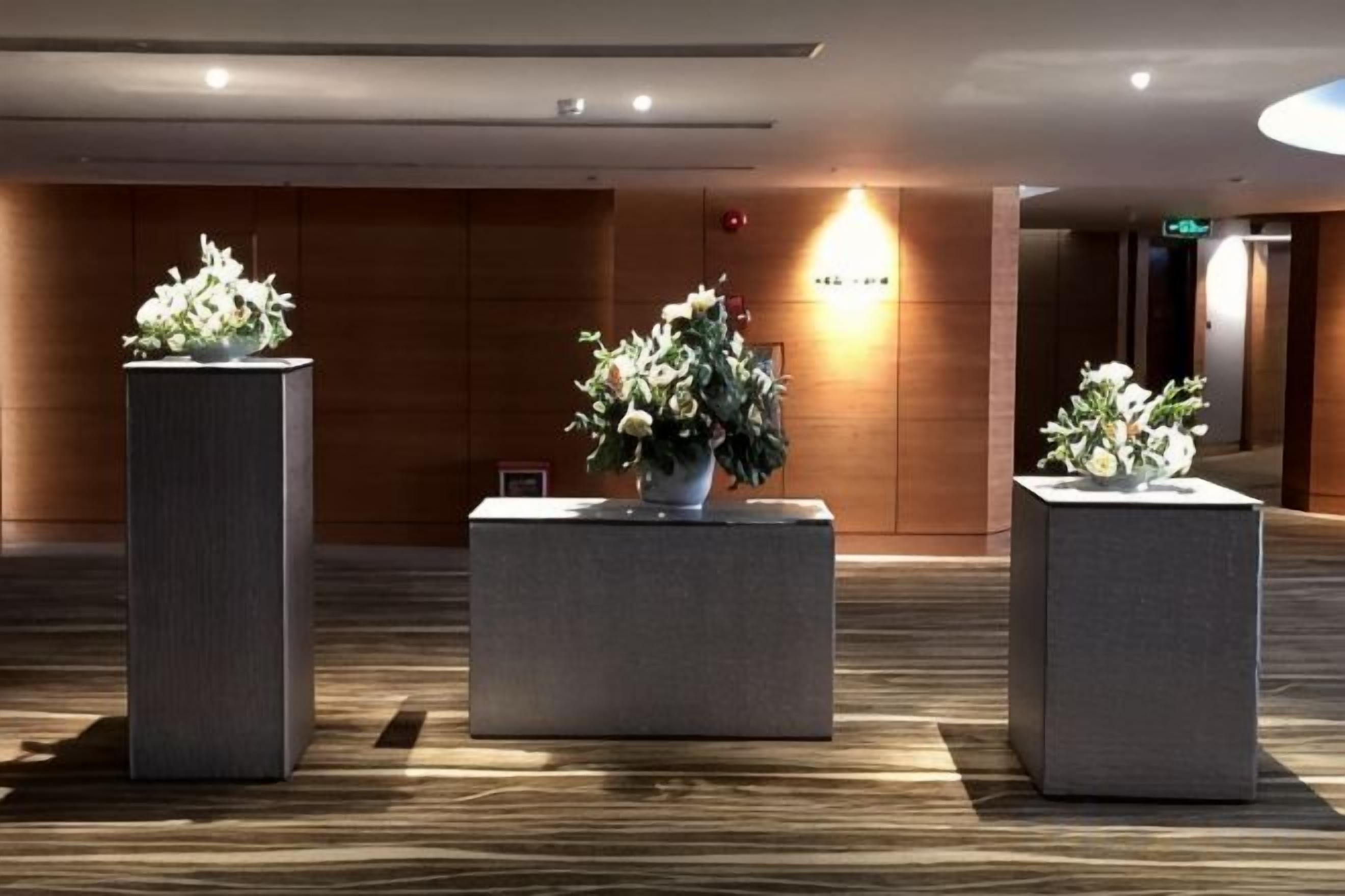 A reception area with three square planters with flowers, a wooden wall, and a reception desk.