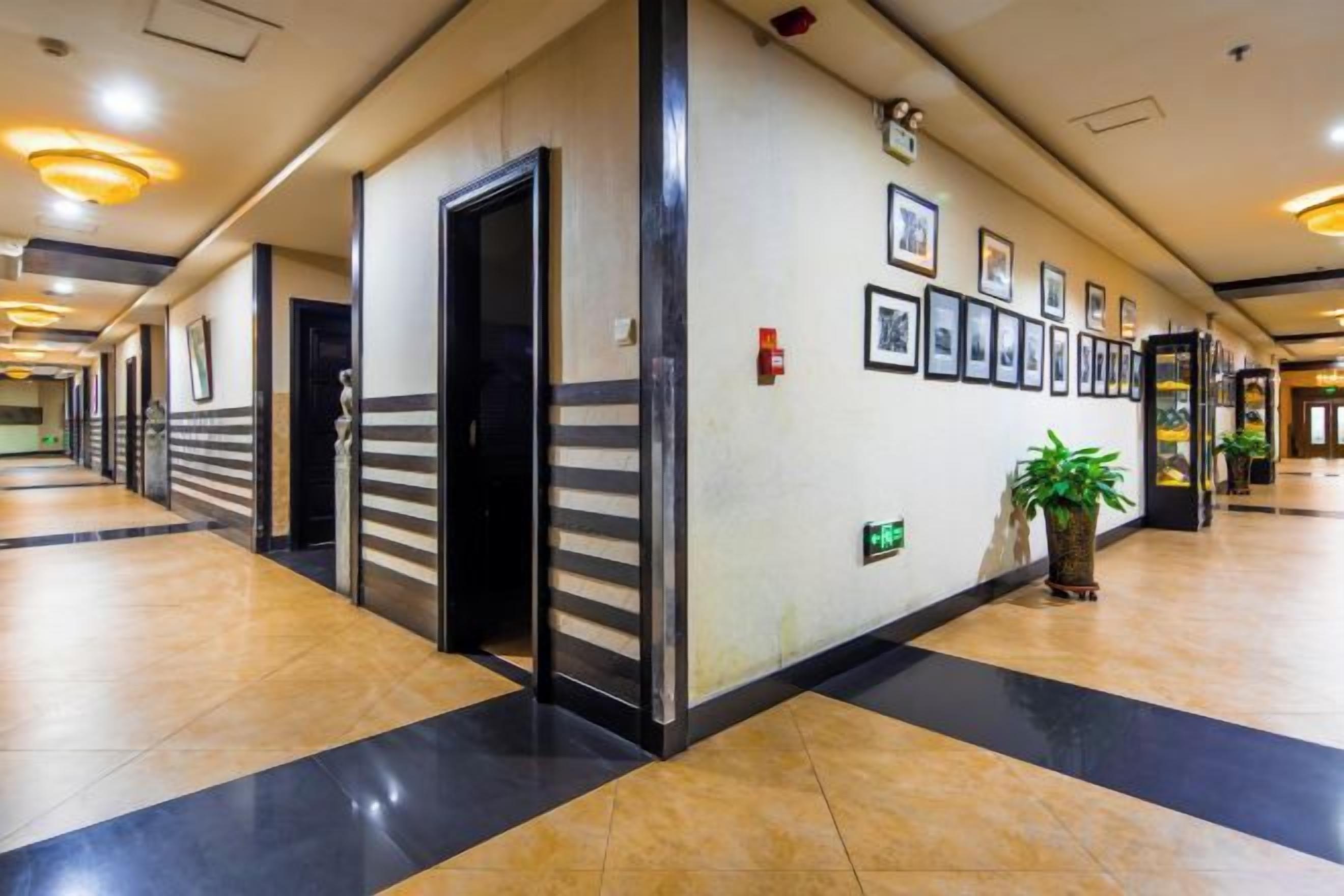 A hotel corridor with doors, framed pictures, and a potted plant.