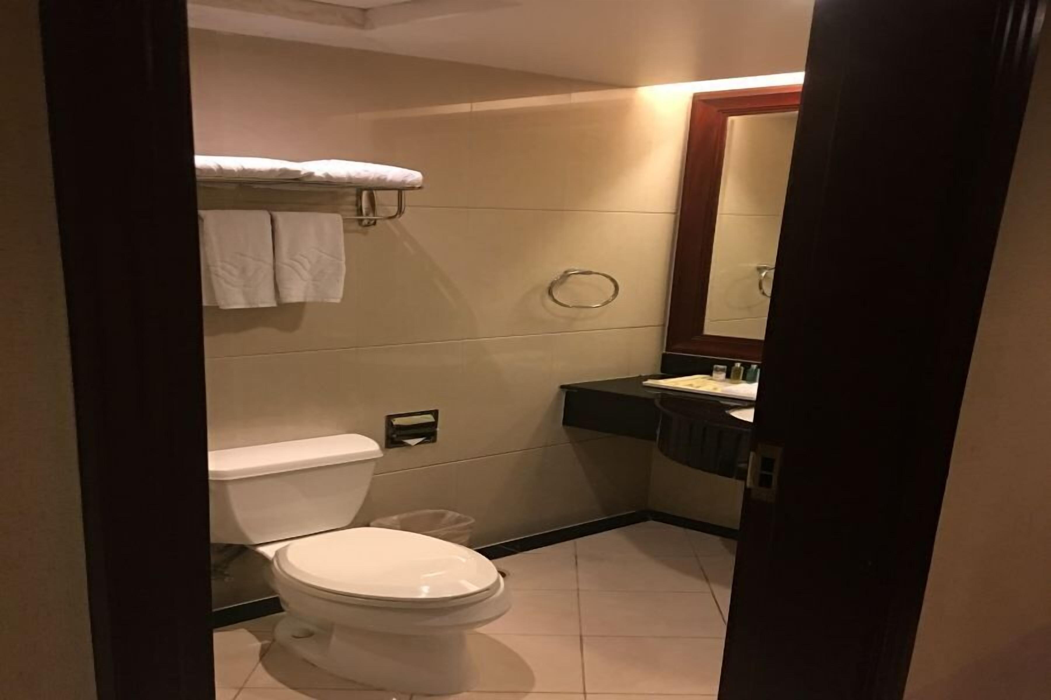 Un baño pequeño y limpio, con inodoro, lavamanos y espejo.