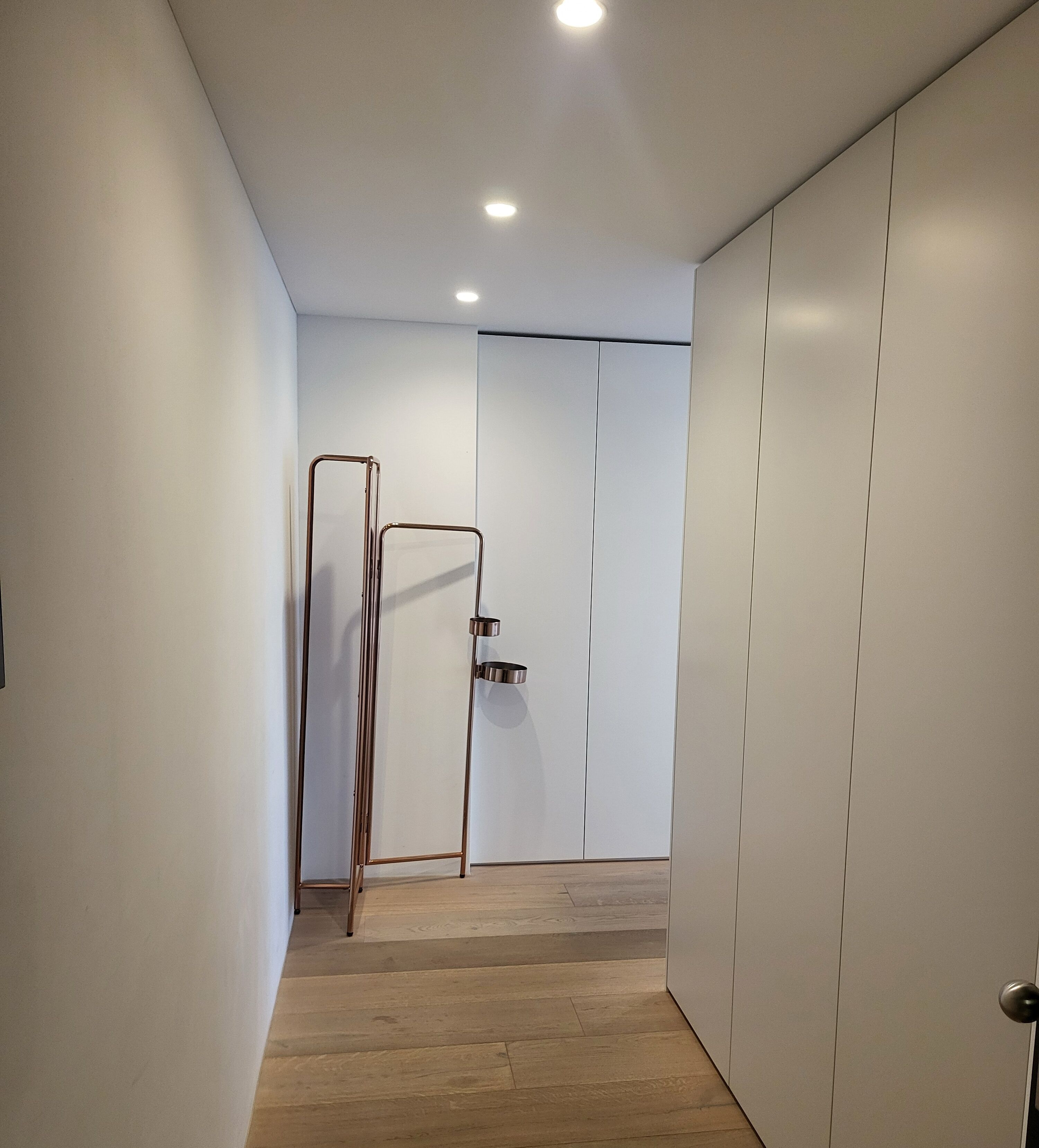 A modern hallway with wooden flooring, white walls, and a closed door with a metal handle.