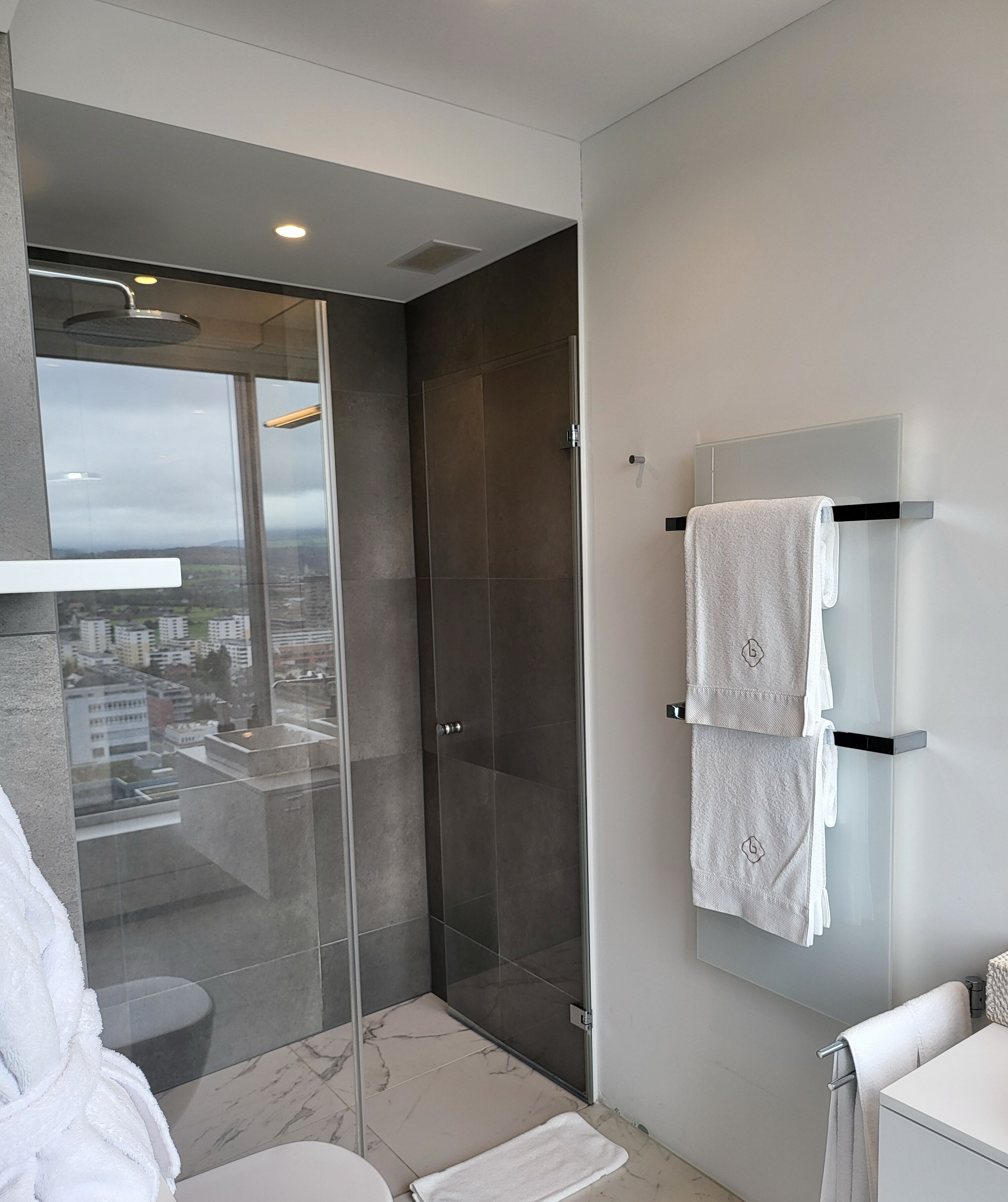 A modern bathroom with a glass-enclosed shower, a glass-towel rack, and a view of the cityscape.