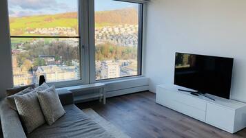 A modern living room with a large window, a grey sofa, a flat-screen TV, and a white cabinet.