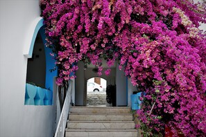 Exterior - Palma Hotel (Bodrum)