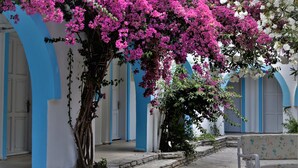 A building with blue and white walls, a bench, and pink bougainvillea flowers. - Palma Hotel (Bodrum)