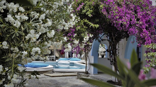 A courtyard with a pool, surrounded by white and purple flowers, and a seating area with blue cushions. - Palma Hotel (Bodrum)