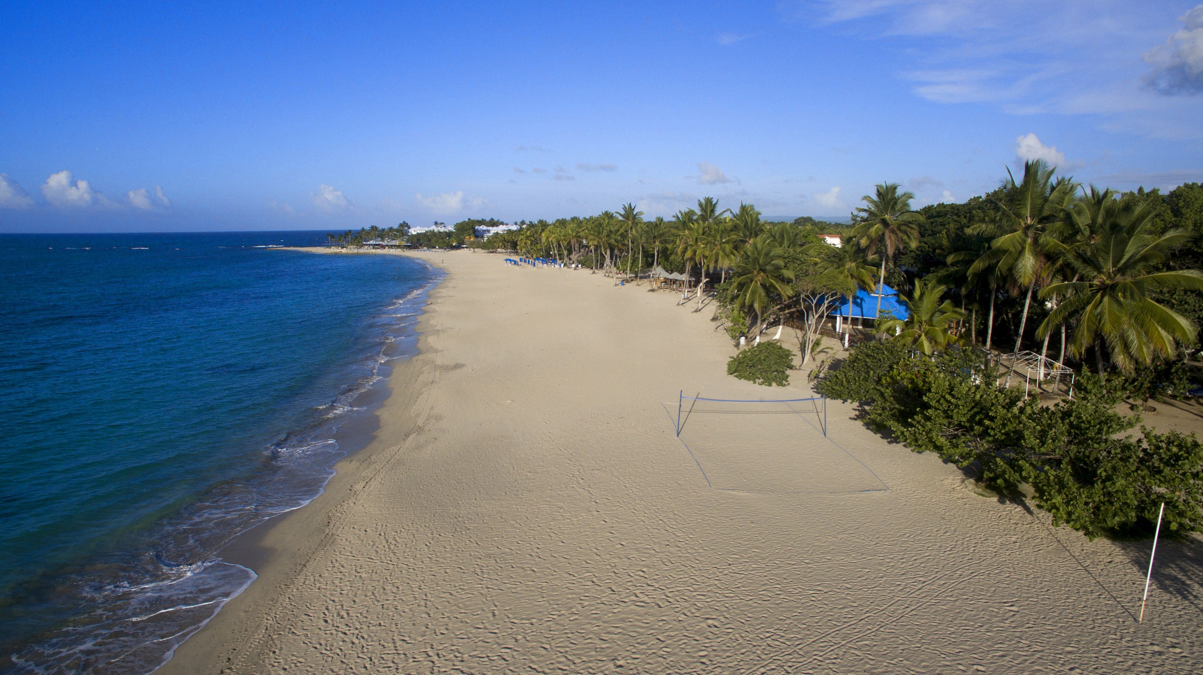 Une plage avec un filet de volley-ball, des palmiers et un ciel bleu dégagé.