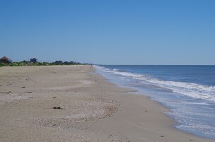 Playa