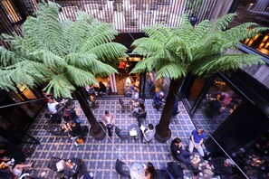 An indoor space with multiple seating areas, large fern plants, and a patterned floor. - The Mandrake (London)
