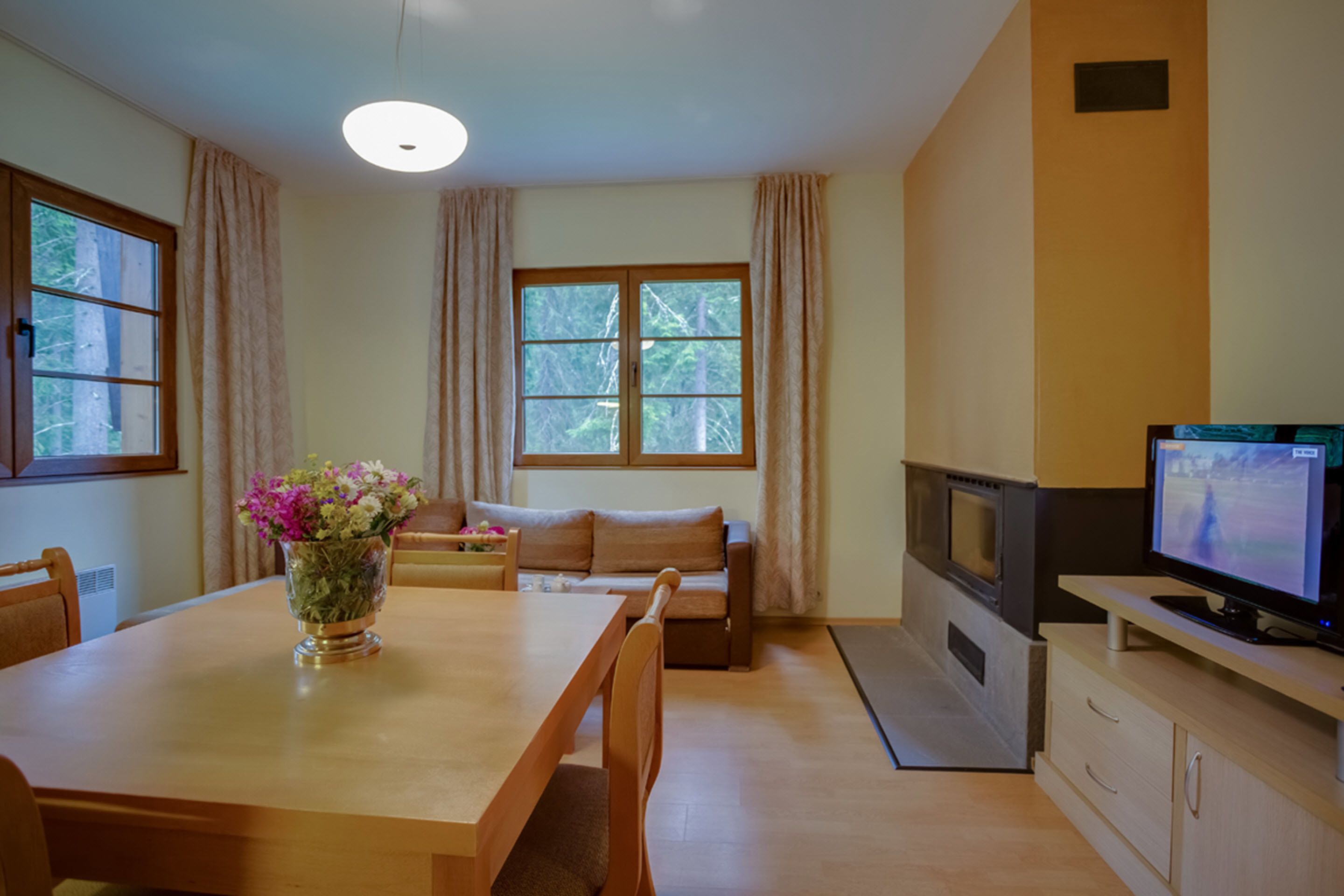 Una sala acogedora con una mesa de comedor de madera, un sofá, un televisor y una chimenea.