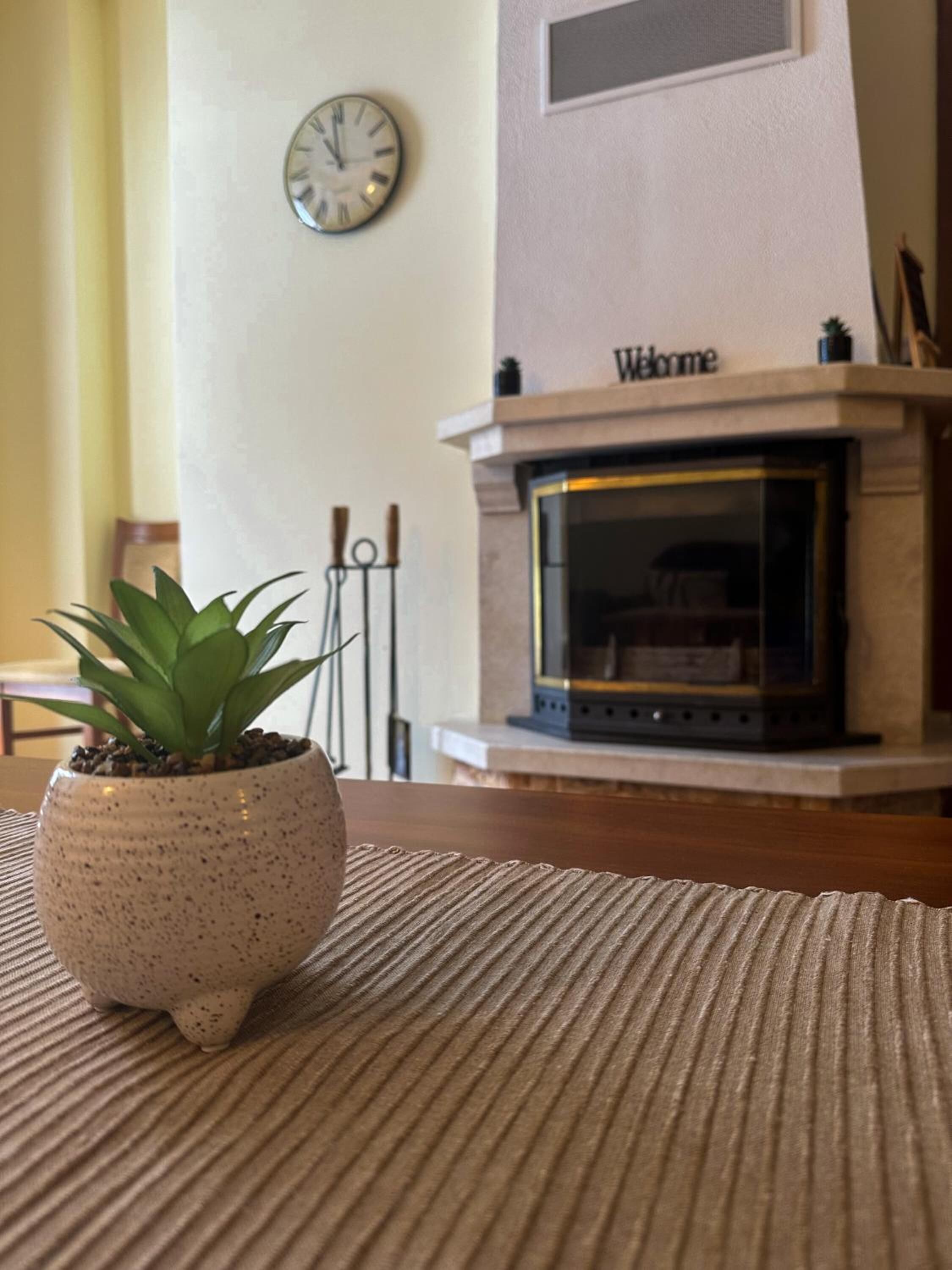 A living room with a fireplace, a clock on the wall, and a potted plant on a table.
