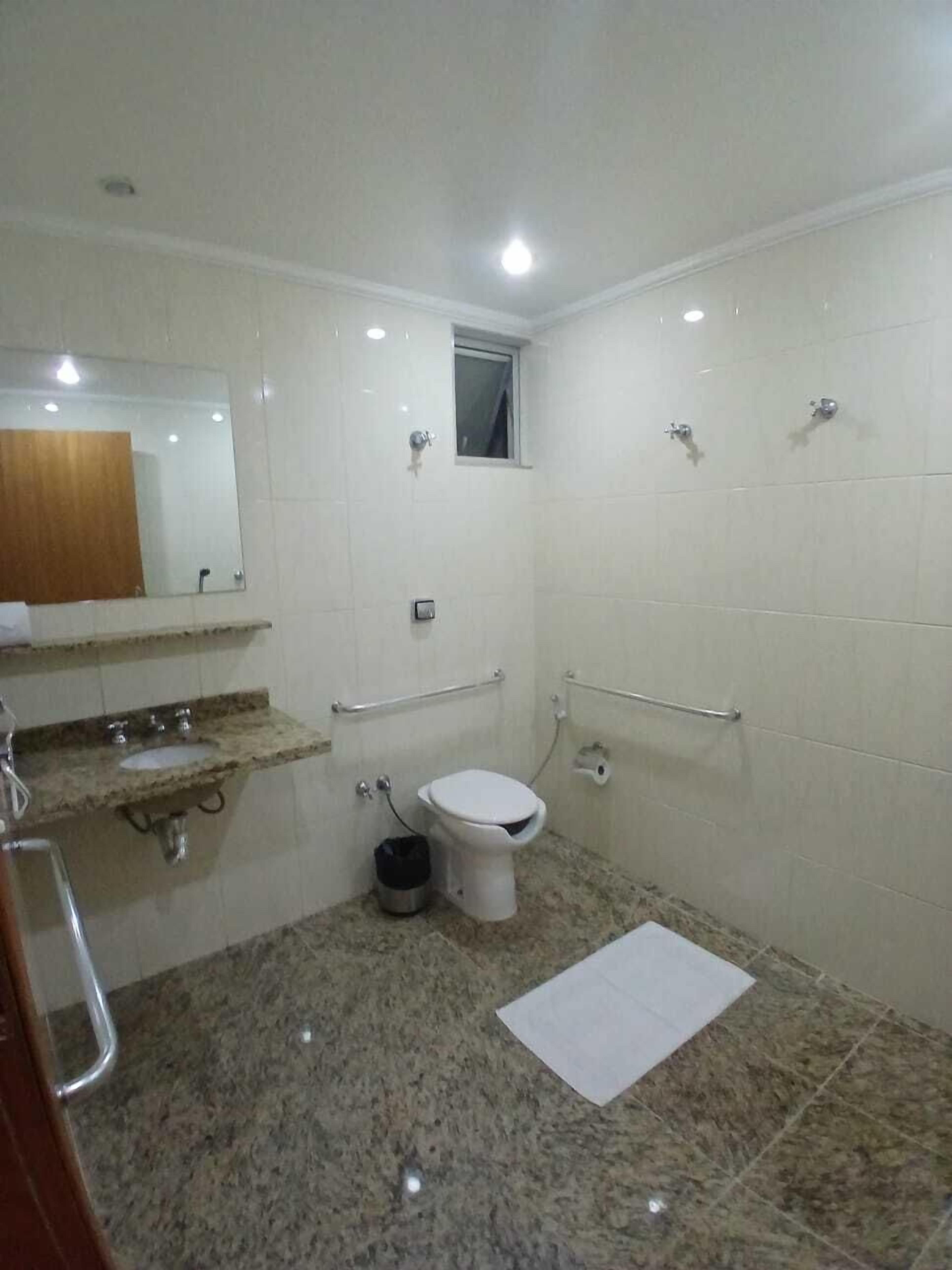 Un baño con inodoro, lavabo, espejo y barras de apoyo.