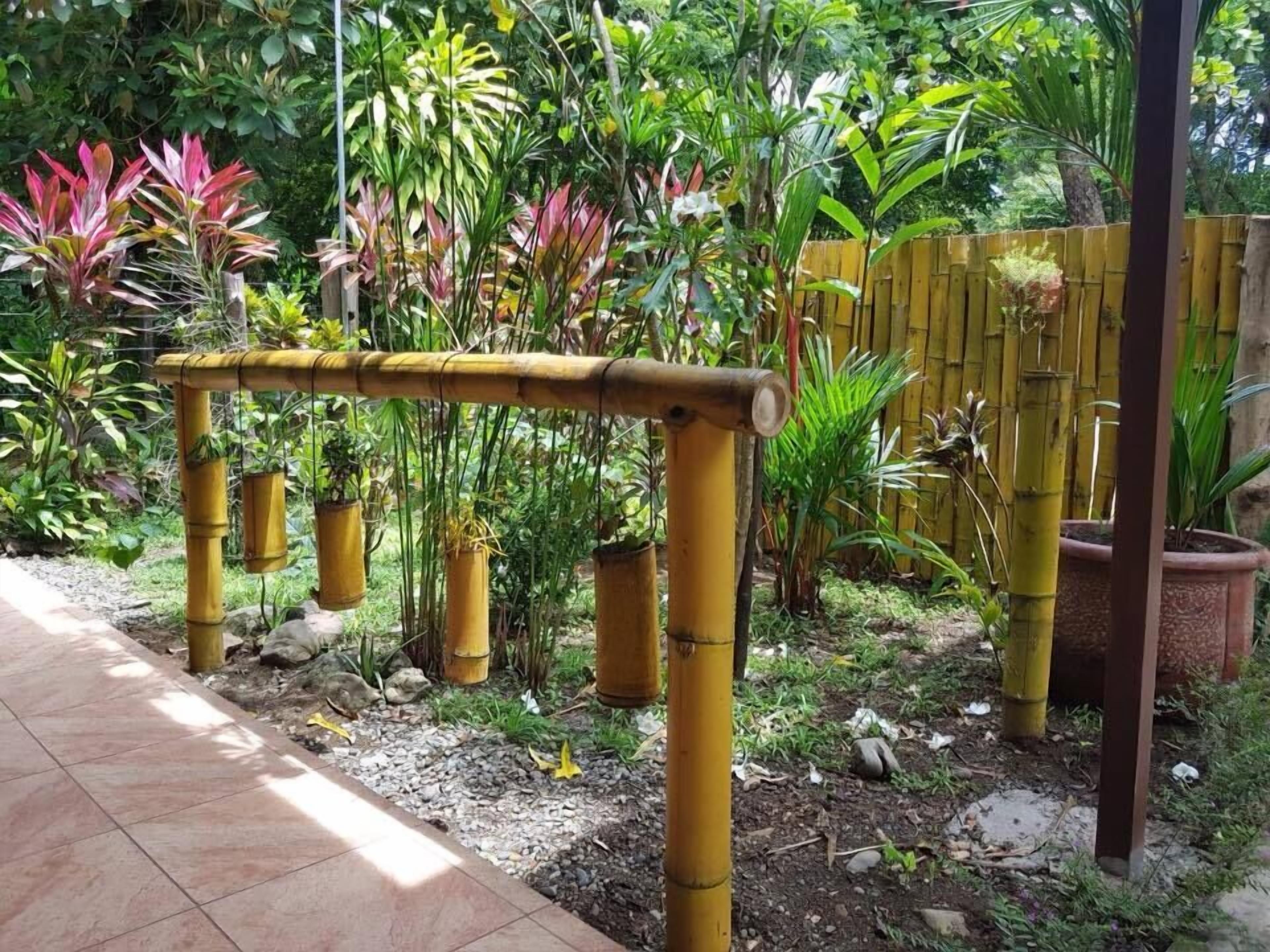 Ein Garten mit einem Bambus-Gebilde, verschiedenen Pflanzen und einem Holzzaun.