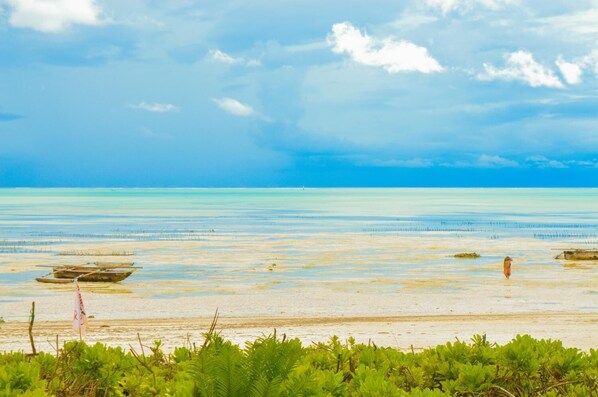 On the beach - Jambiani House (Jambiani)