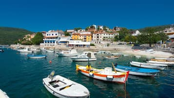 Jachthaven