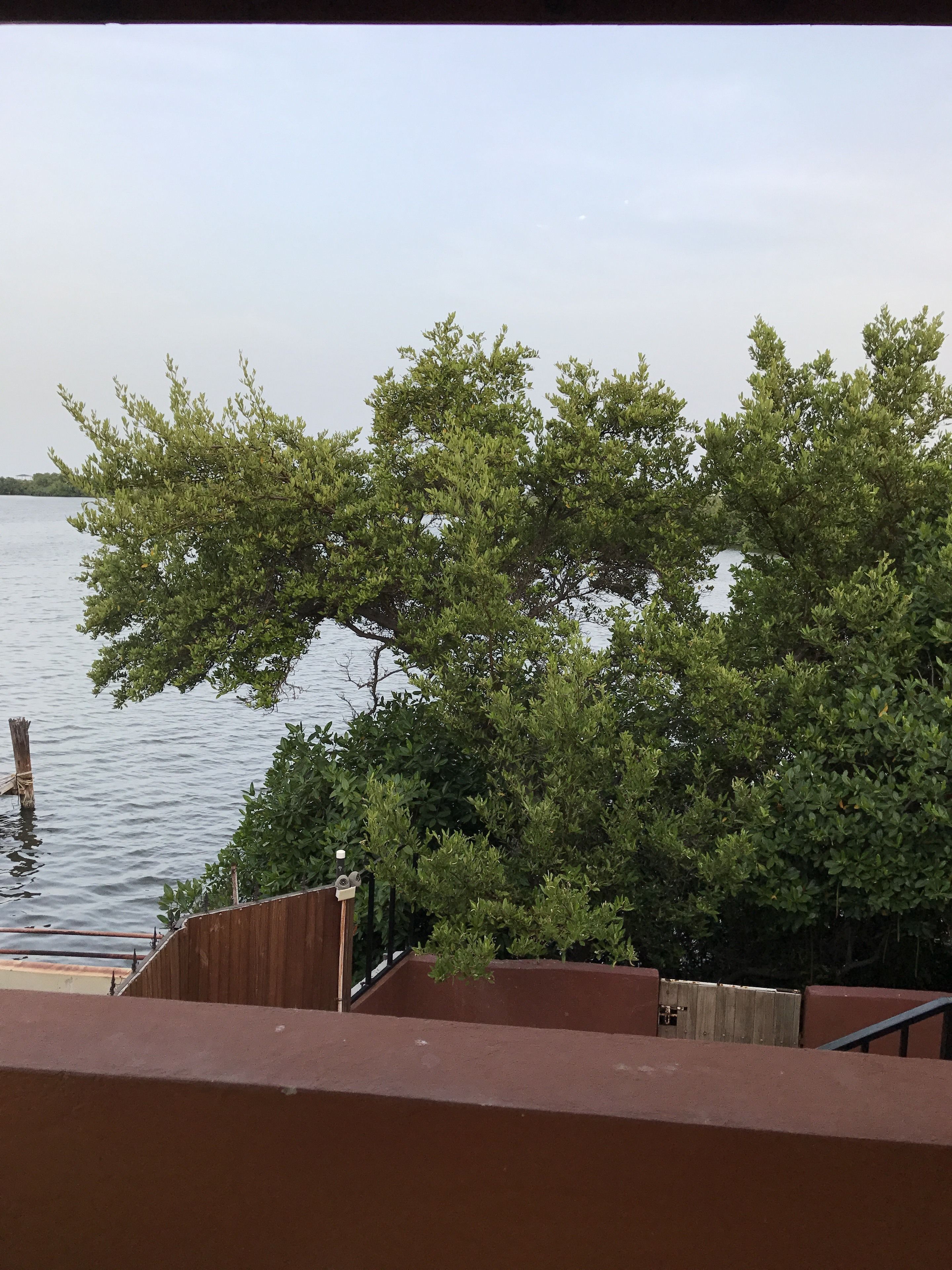 Vue depuis l’hébergement