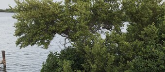 Kardel Vacation Apartments