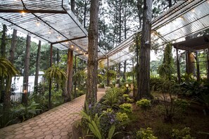 A greenhouse with a glass ceiling, surrounded by trees and plants. - Cabaña Suiza (Mixco)