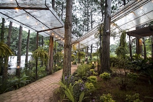 Un invernadero con techo de cristal, rodeado de árboles y plantas.