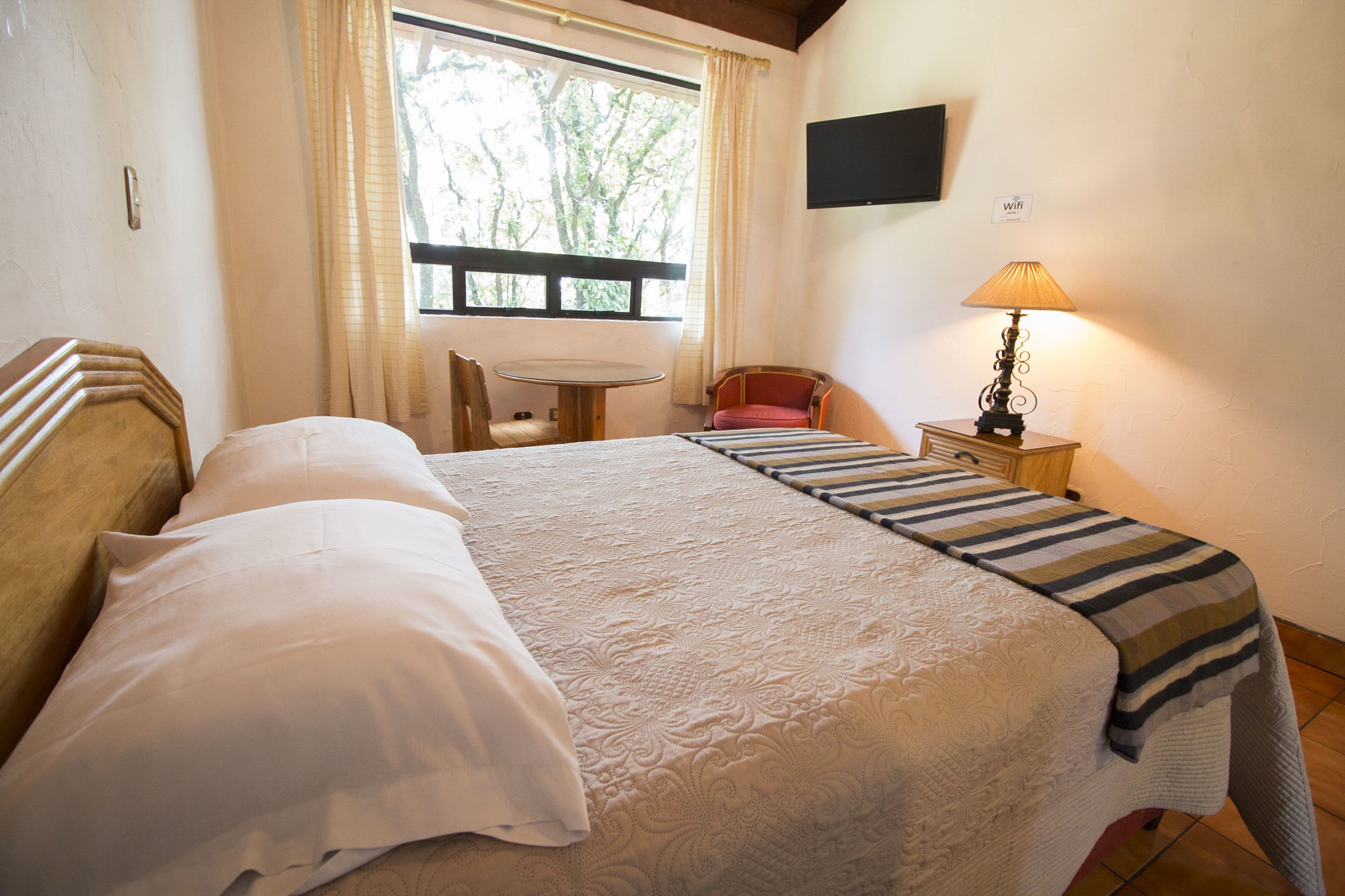 standard double room, 1 double bed | minibar, desk, iron/ironing board, free wifi