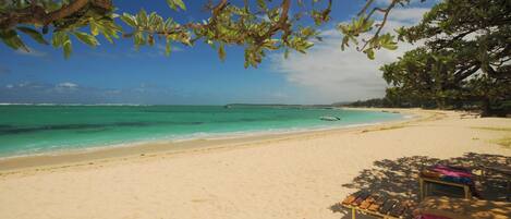 Sun loungers, beach towels