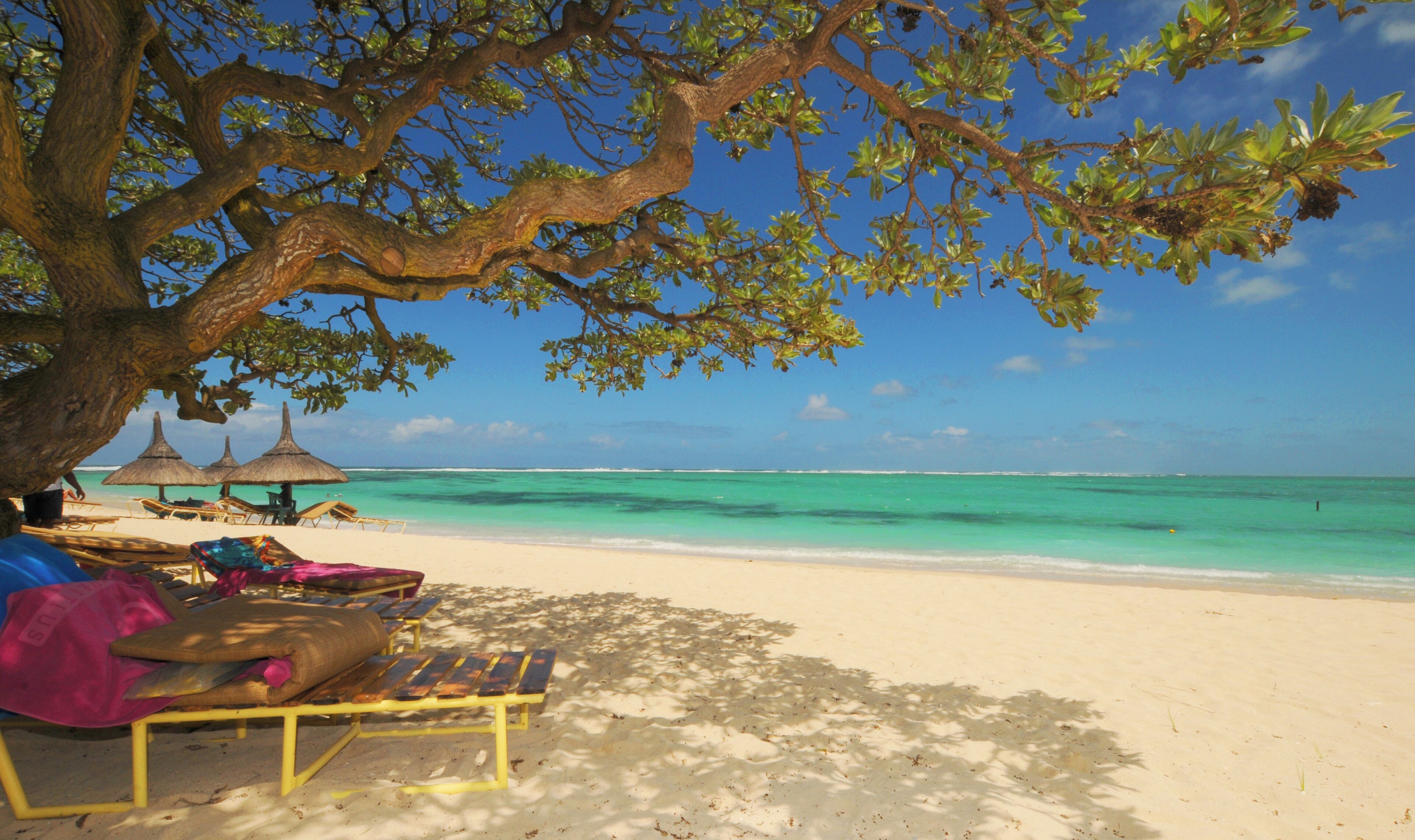 Camastros y toallas de playa 