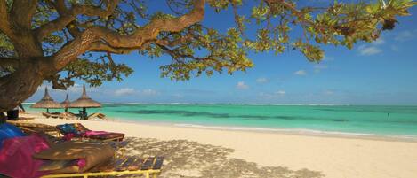 Camastros y toallas de playa