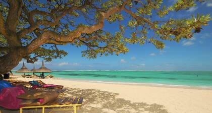 Phils Beach Escape Palmar Plage